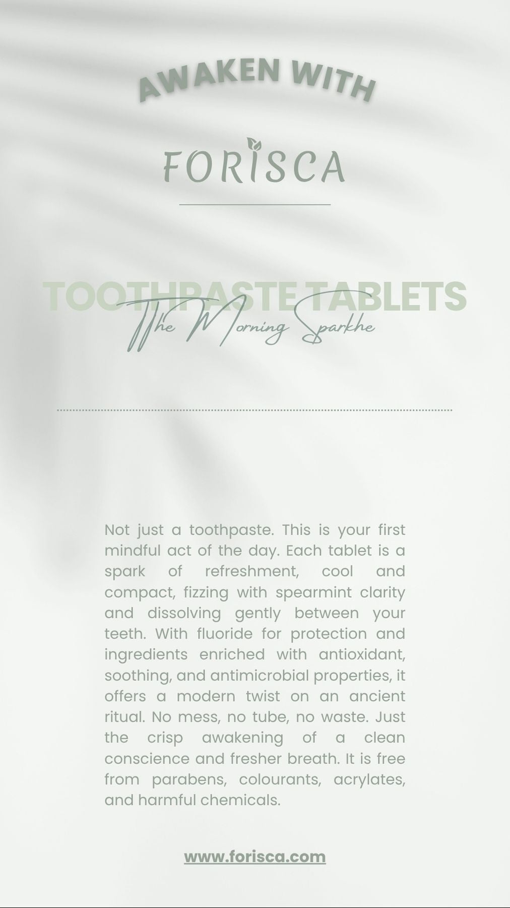 Toothpaste Tablets